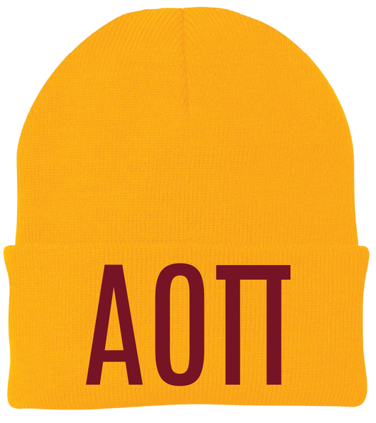 Alpha Omicron Pi Lettered Beanies