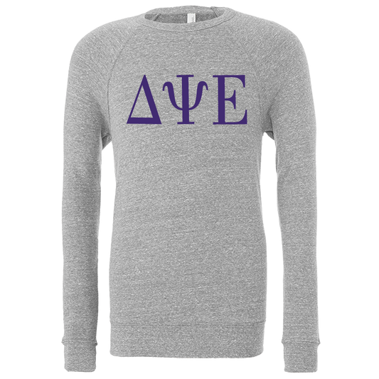 Delta Psi Epsilon Embroidered Lettered Crewneck Sweatshirts