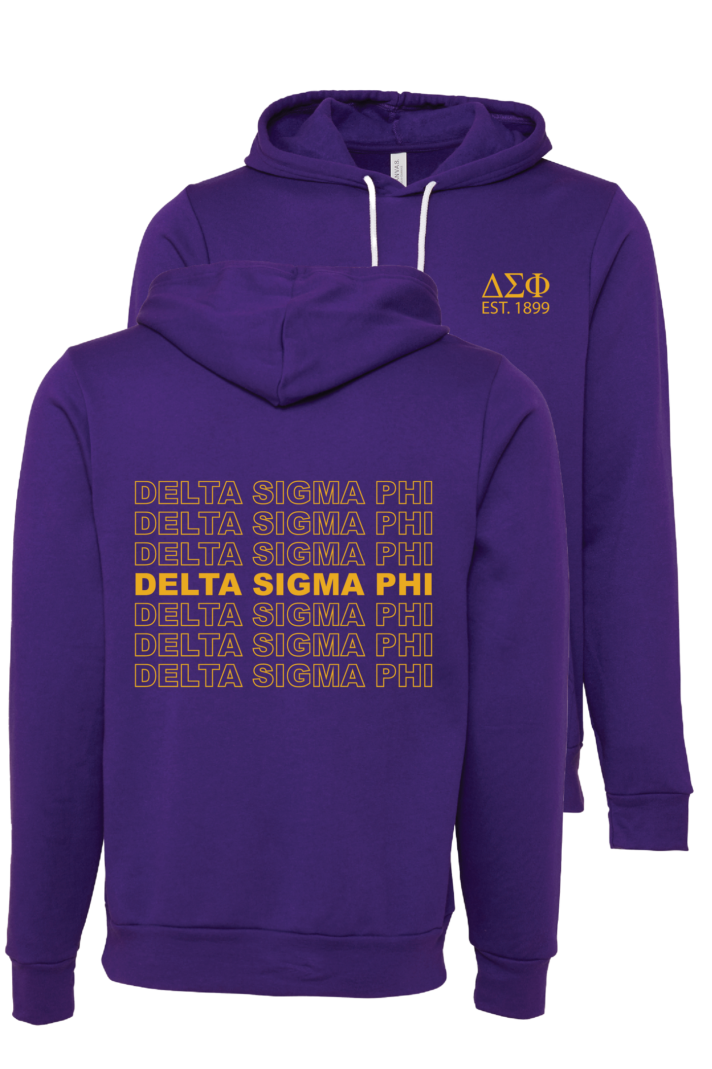 Delta Sigma Phi Repeating Name Hooded Sweatshirts