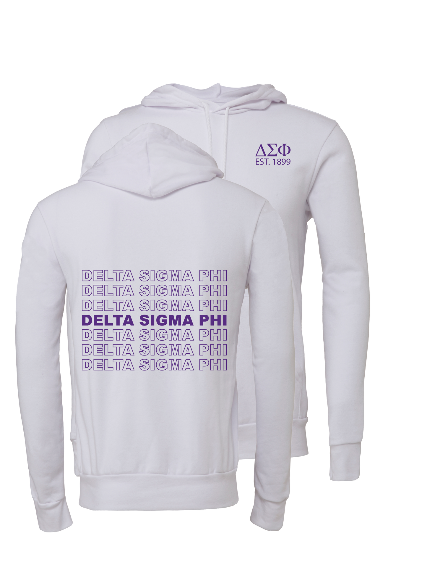 Delta Sigma Phi Repeating Name Hooded Sweatshirts