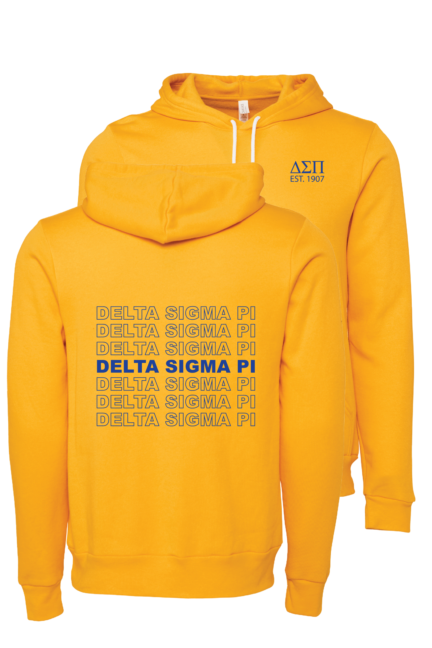 Delta Sigma Pi Repeating Name Hooded Sweatshirts