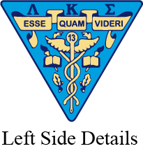 Lambda Kappa Sigma Varsity Hooded Sweatshirt