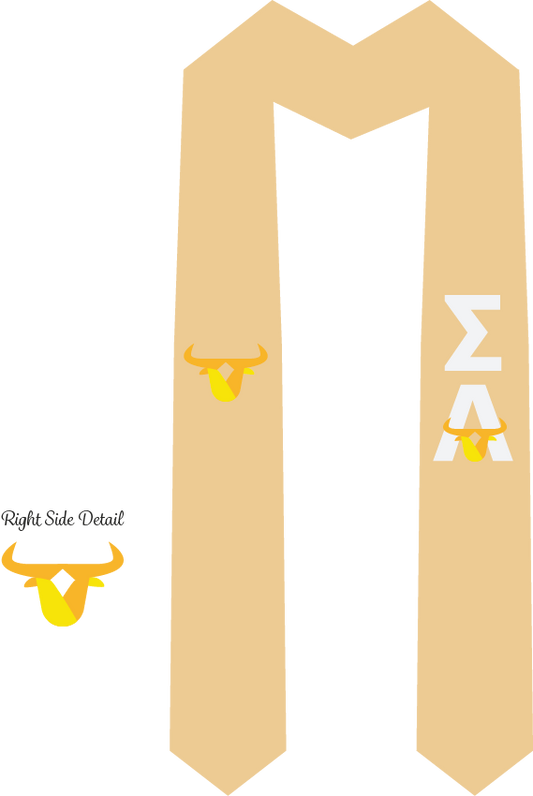 Sigma Alpha Graduation Stoles