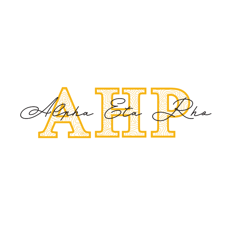 Alpha Eta Rho Applique Letters Hooded Sweatshirt