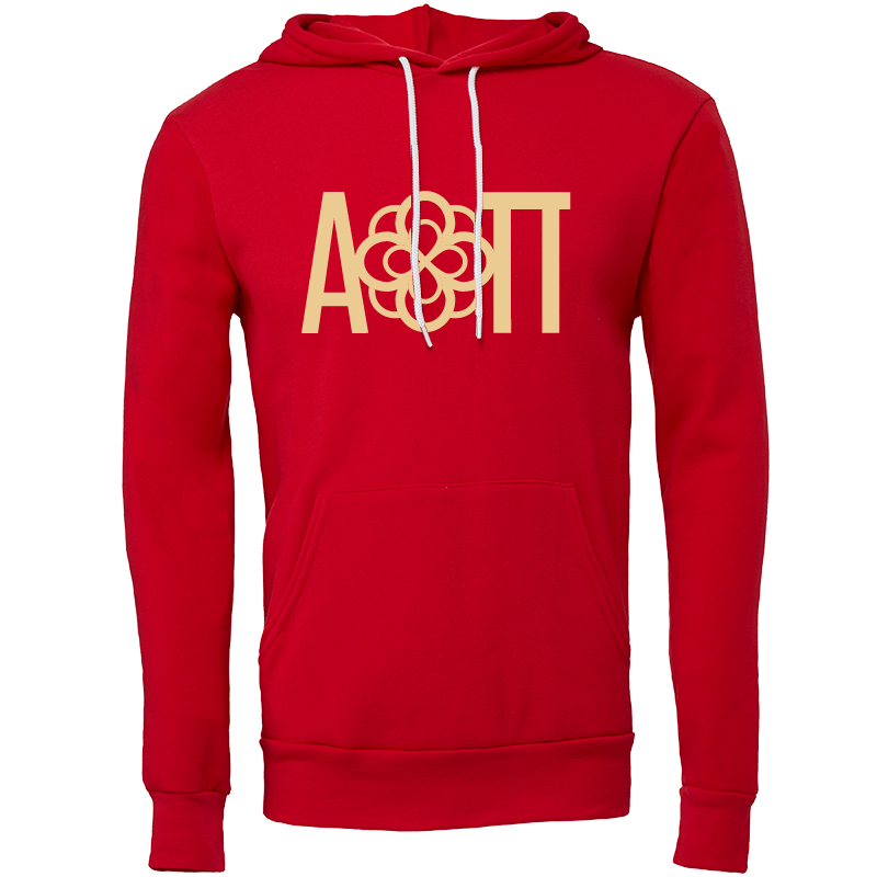 Alpha Omicron Pi Lettered Hooded Sweatshirts