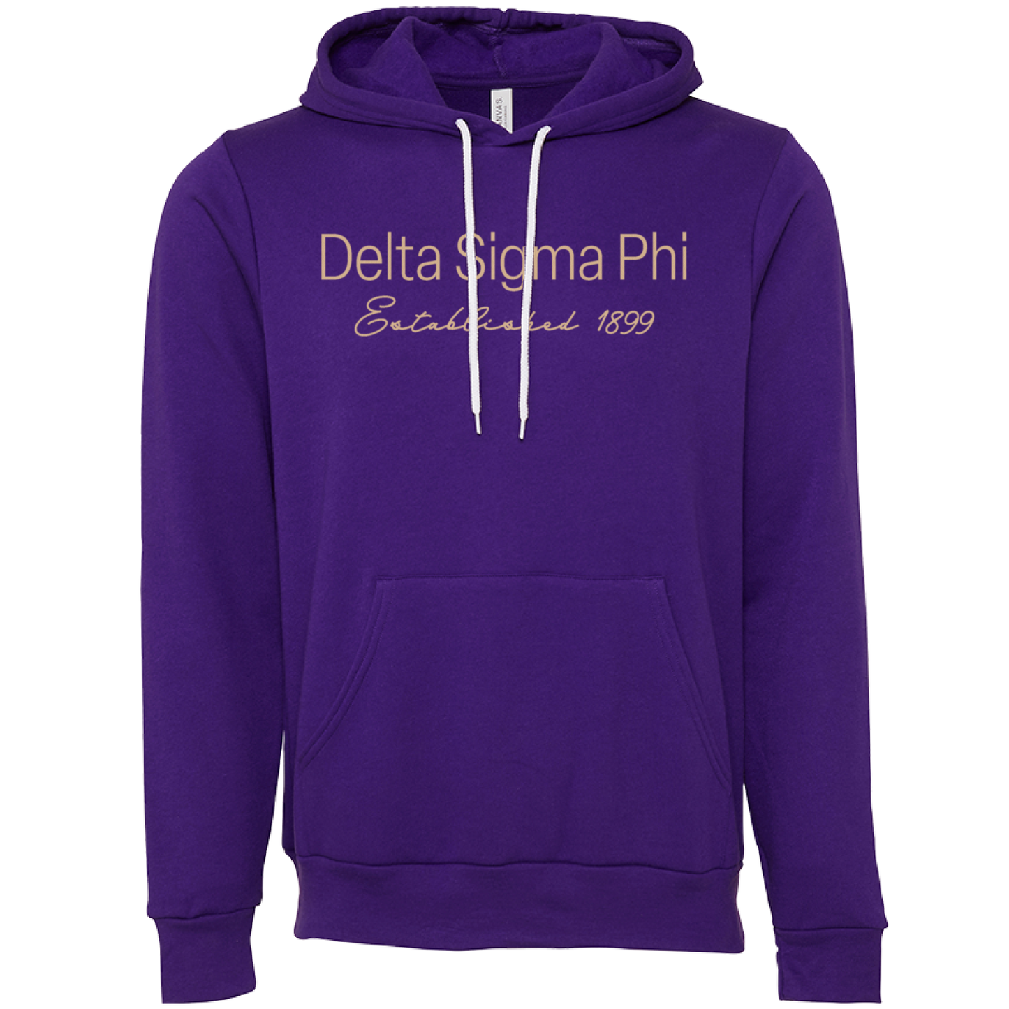 Delta Sigma Phi Embroidered Printed Name Hooded Sweatshirts