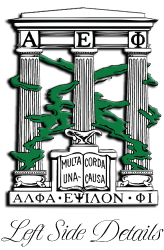 Alpha Epsilon Phi Varsity Hooded Sweatshirt