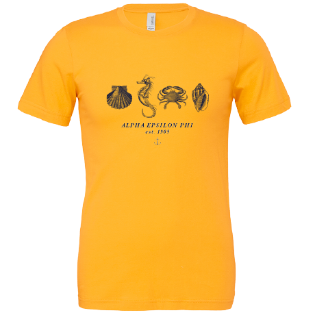 Alpha Epsilon Phi Nautical Graphic T-Shirts