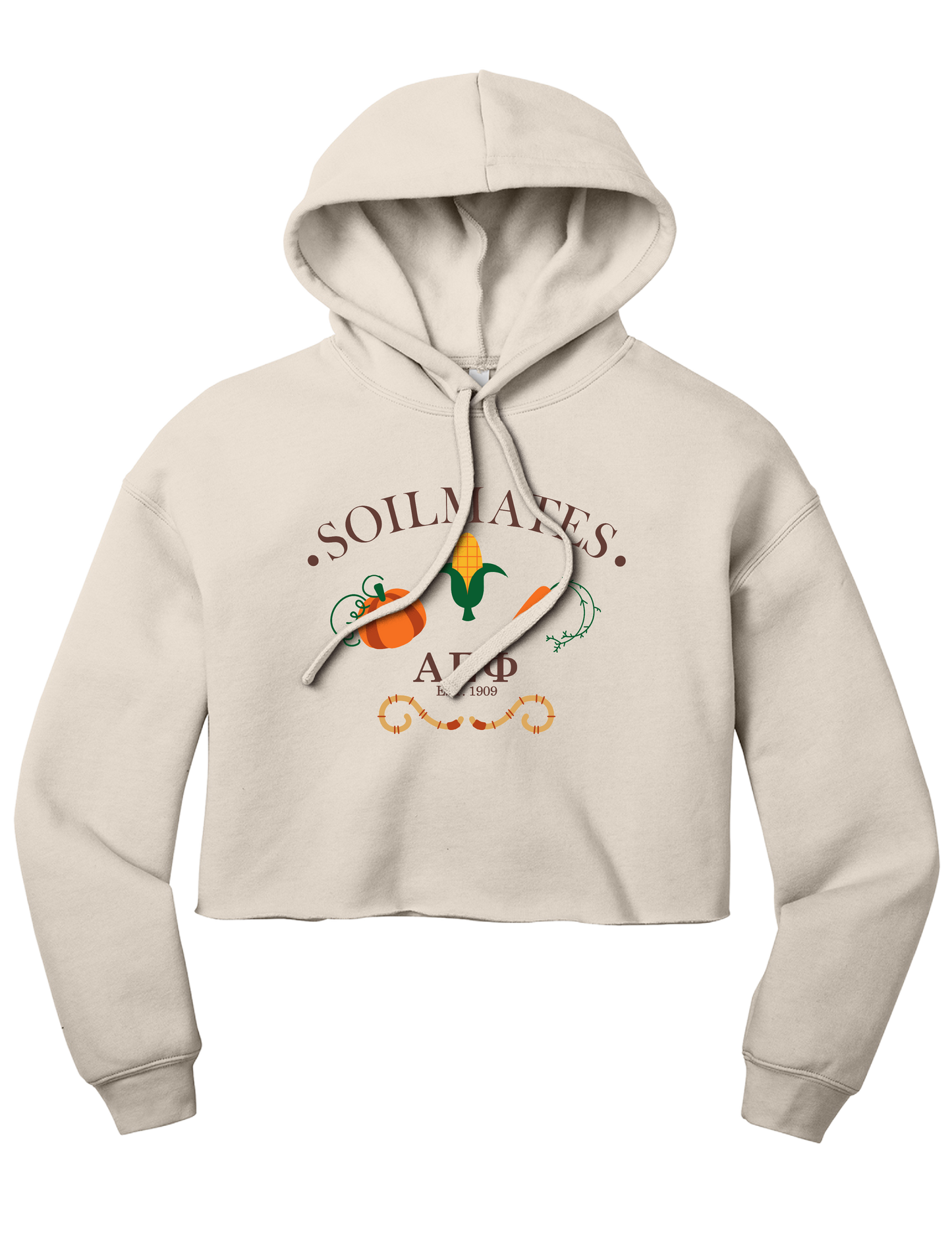Alpha Epsilon Phi Soilmates Cropped Hoodie