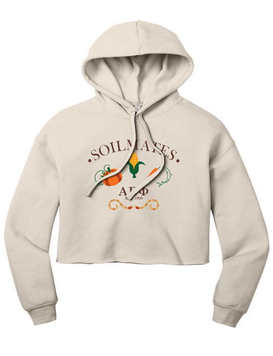 Alpha Epsilon Phi Soilmates Cropped Hoodie