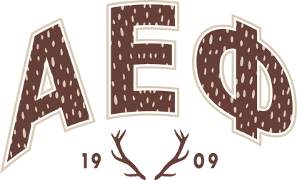 Alpha Epsilon Phi Fawn Print Varsity Hoodie