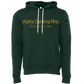 Alpha Gamma Rho Embroidered Printed Name Hooded Sweatshirts