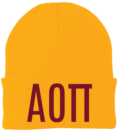 Alpha Omicron Pi Lettered Beanies