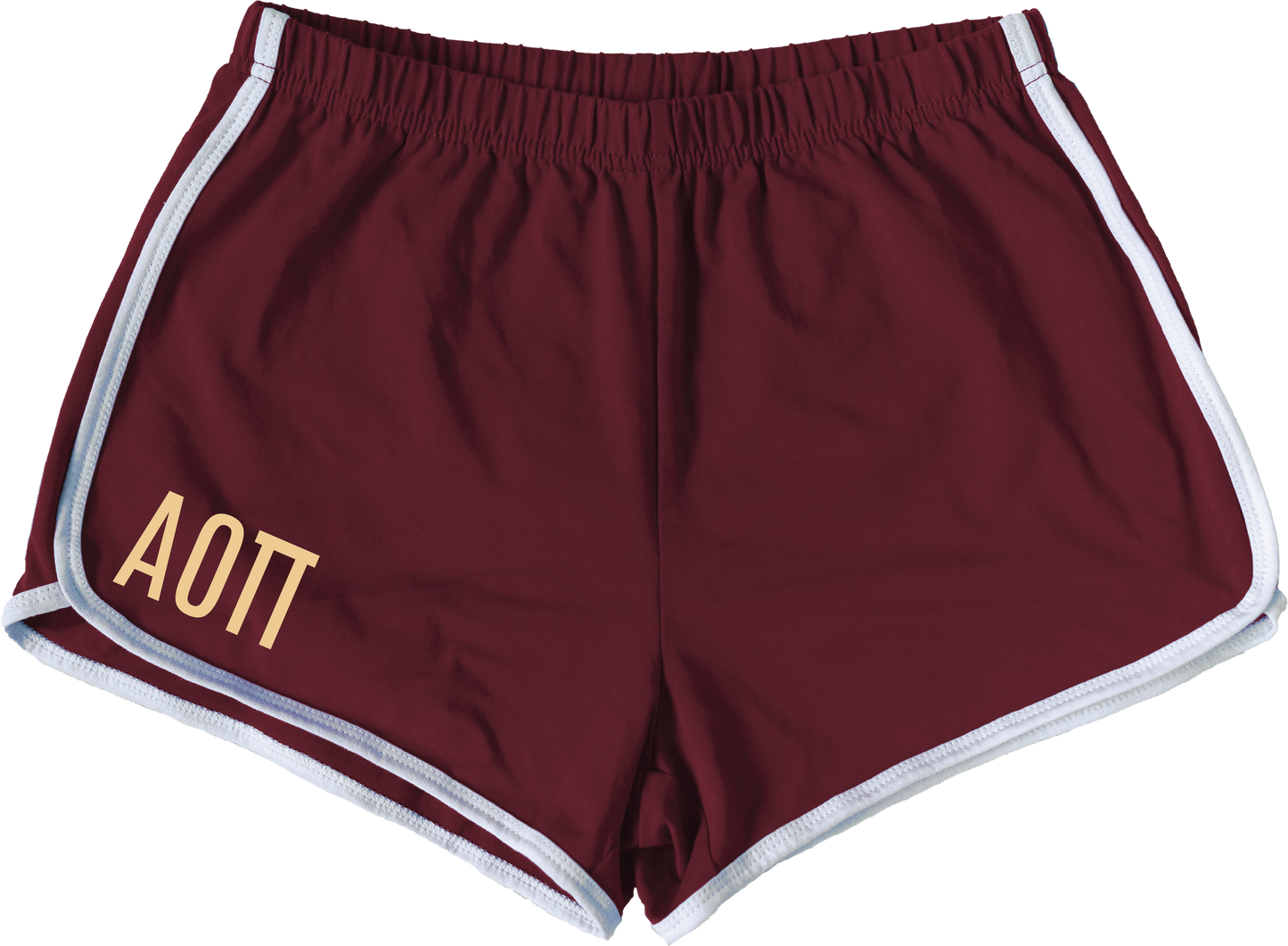 Alpha Omicron Pi Lettered Women's Shorts