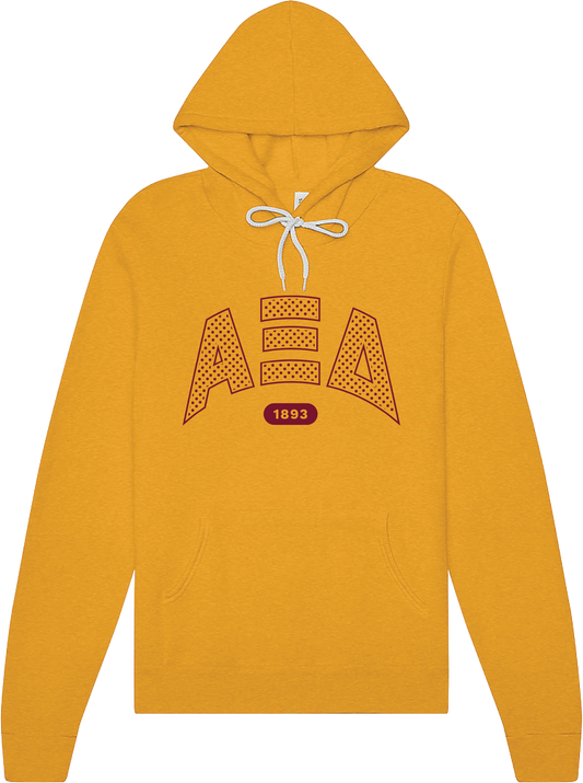 Alpha Xi Delta Varsity Polka Dot Hoodie