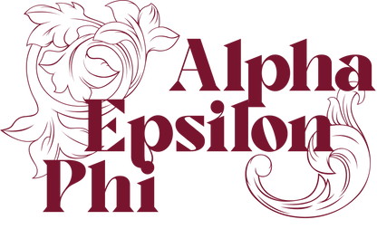 Alpha Epsilon Phi Monochromatic Hoodie