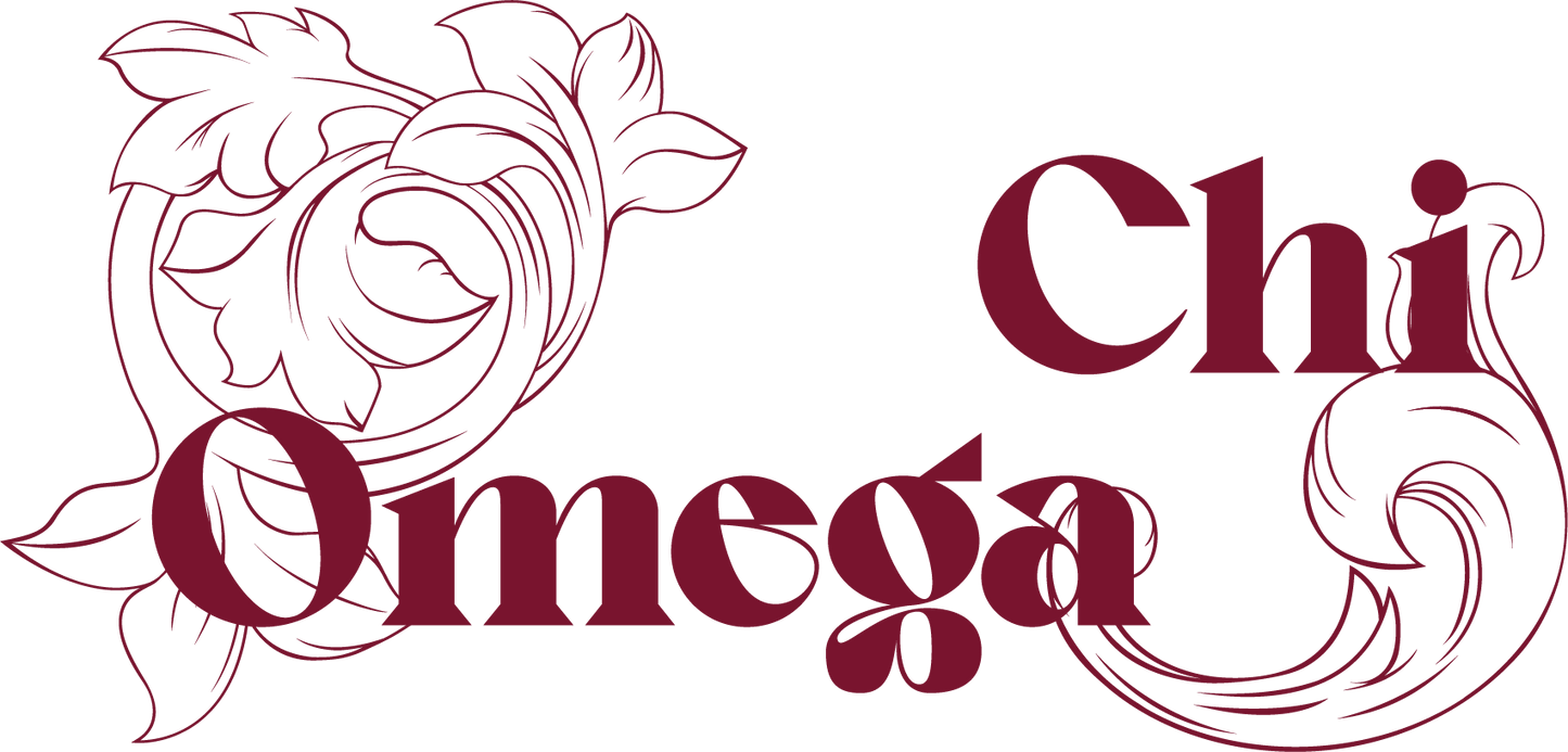 Chi Omega Monochromatic Hoodie