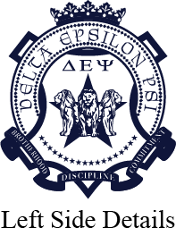 Delta Epsilon Psi Varsity Hooded Sweatshirt