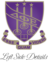 Delta Phi Epsilon Varsity Hooded Sweatshirt