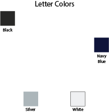 Delta Phi Lambda Varsity Hooded Sweatshirt