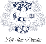 Delta Phi Lambda Varsity Hooded Sweatshirt