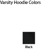 Delta Phi Lambda Varsity Hooded Sweatshirt