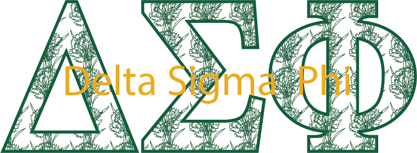 Delta Sigma Phi Applique Letters Crewneck Sweatshirt