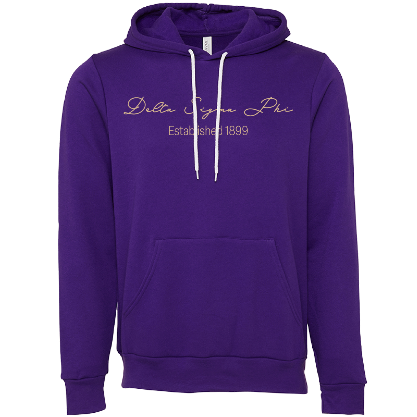 Delta Sigma Phi Embroidered Scripted Name Hooded Sweatshirts