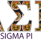 Delta Sigma Pi Applique Letters Hooded Sweatshirt