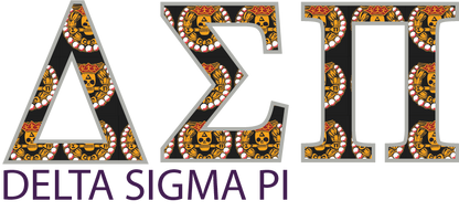 Delta Sigma Pi Applique Letters Hooded Sweatshirt