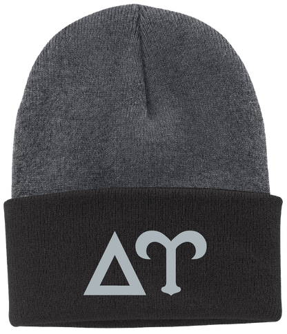 Delta Upsilon Lettered Beanies
