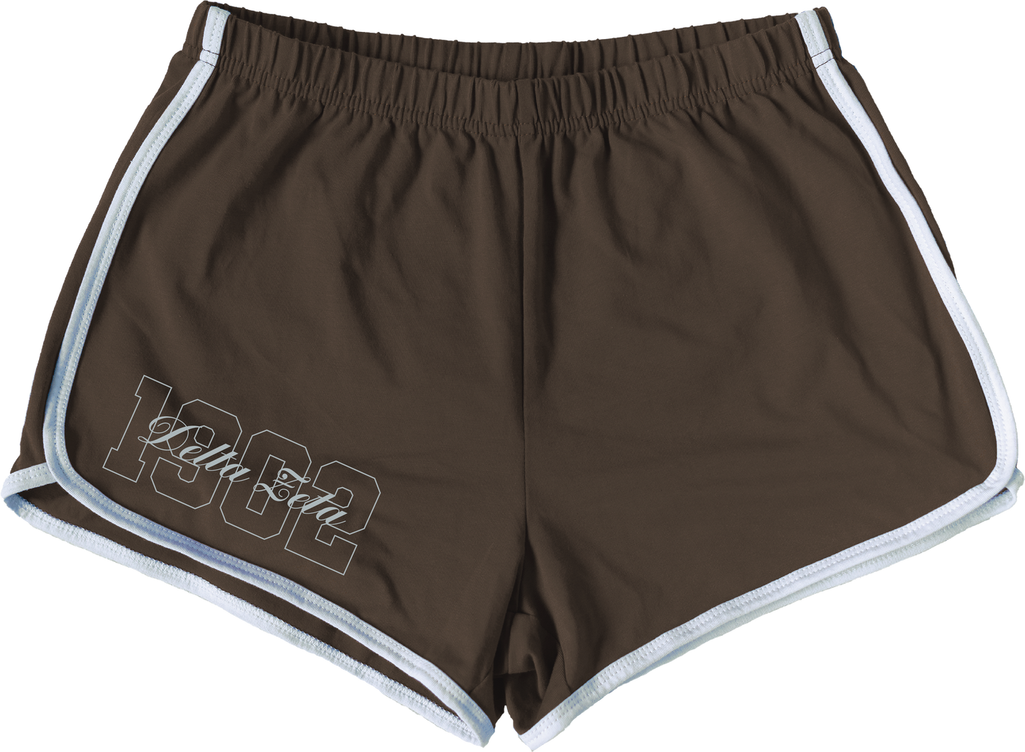 Delta Zeta Year and Name Women's Shorts