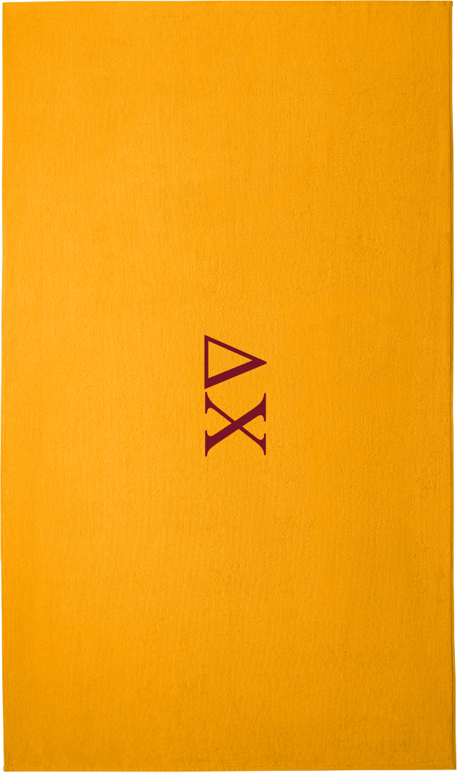 Delta Chi Lettered Beach Towels