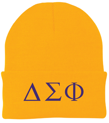 Delta Sigma Phi Lettered Beanies