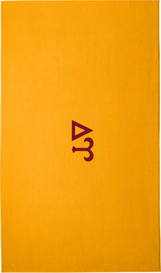 Delta Zeta Lettered Beach Towels