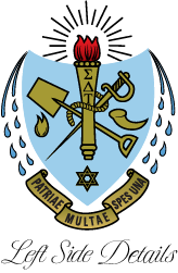 Sigma Delta Tau Varsity Hooded Sweatshirt