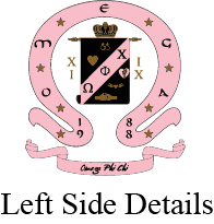 Omega Phi Chi Varsity Hooded Sweatshirt