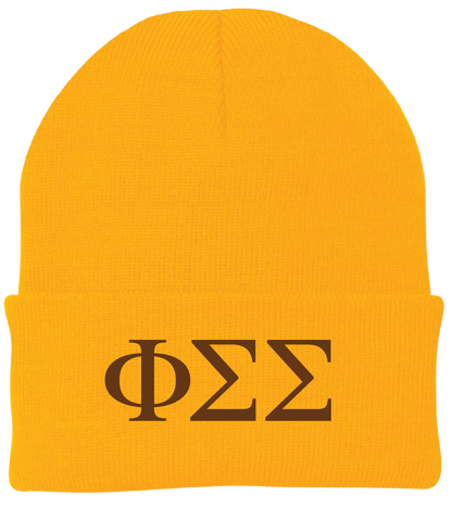 Phi Sigma Sigma Lettered Beanies