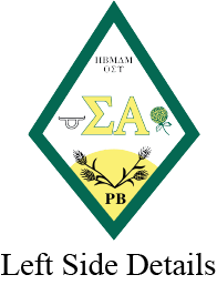 Sigma Alpha Varsity Hooded Sweatshirt