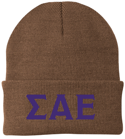 Sigma Alpha Epsilon Lettered Beanies