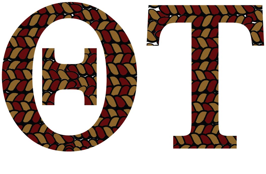 Theta Tau Applique Letters Hooded Sweatshirt