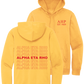 Alpha Eta Rho Repeating Name Hooded Sweatshirts