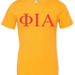Phi Iota Alpha Short Sleeve T-Shirts